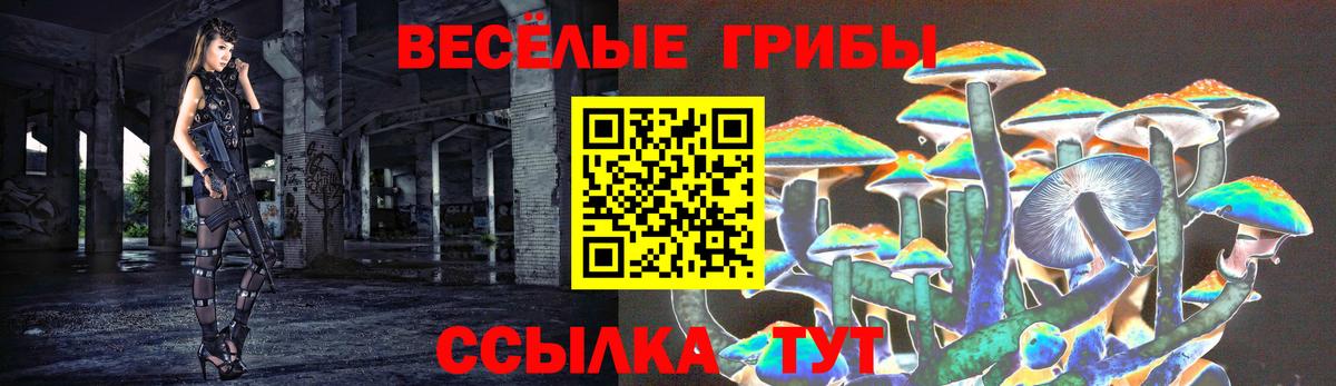 Петропавловск-Камчатский  Псилоцибиновые грибы Psilocybe  Вход с VPN 