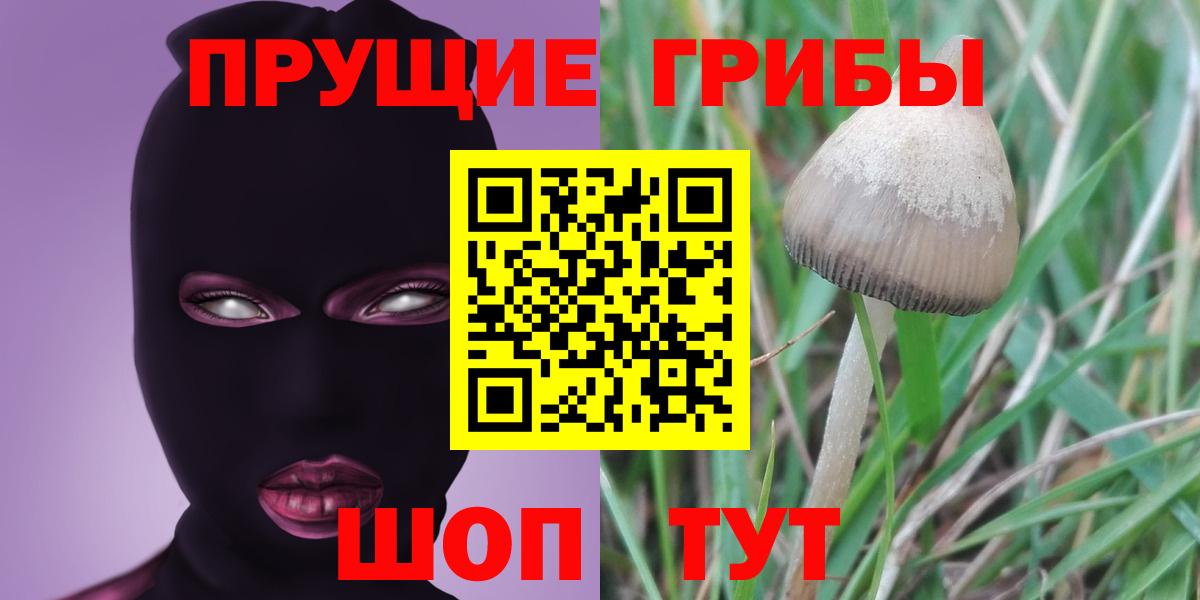Псилоцибиновые грибы GOLDEN TEACHER Петропавловск-Камчатский